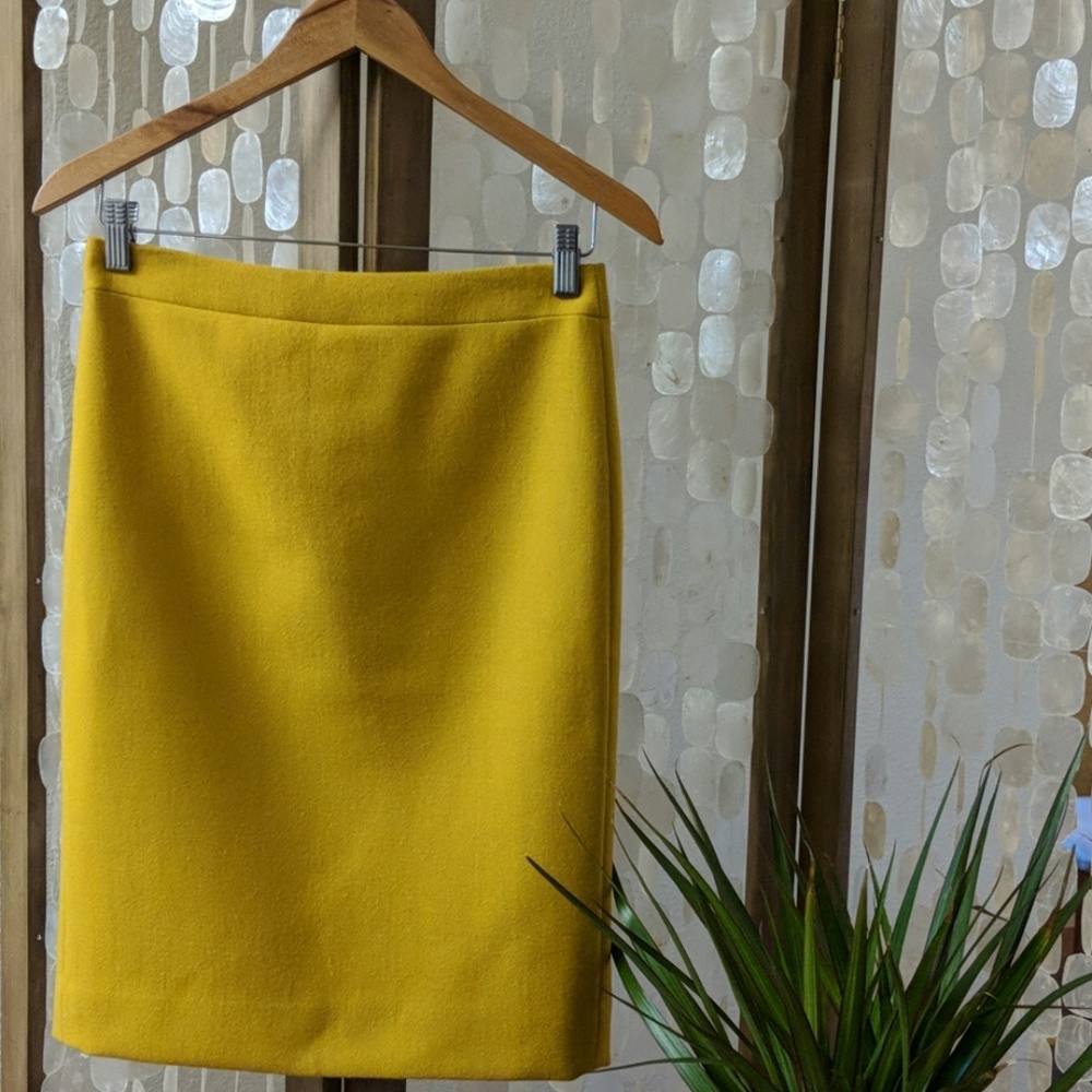 J. Crew Skirt